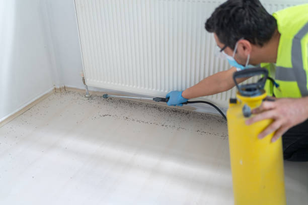 Best Commercial Pest Control Services  in Lake Worth, TX