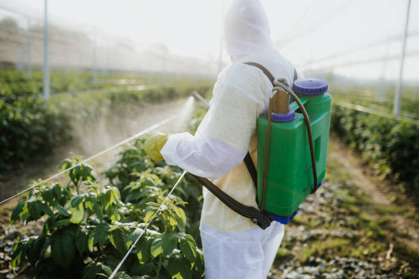 Best Flea Control Services  in Lake Worth, TX